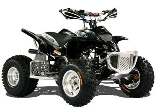 Adly ATV 100 Shark