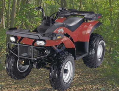 E-Ton Yukon 150