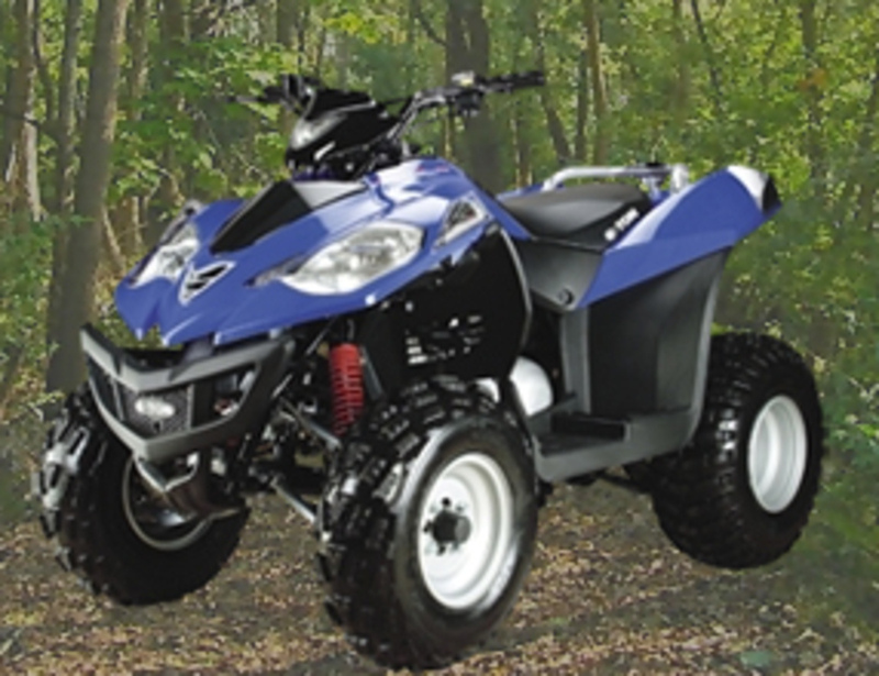 E-Ton Vector ST 250 Vector ST 250