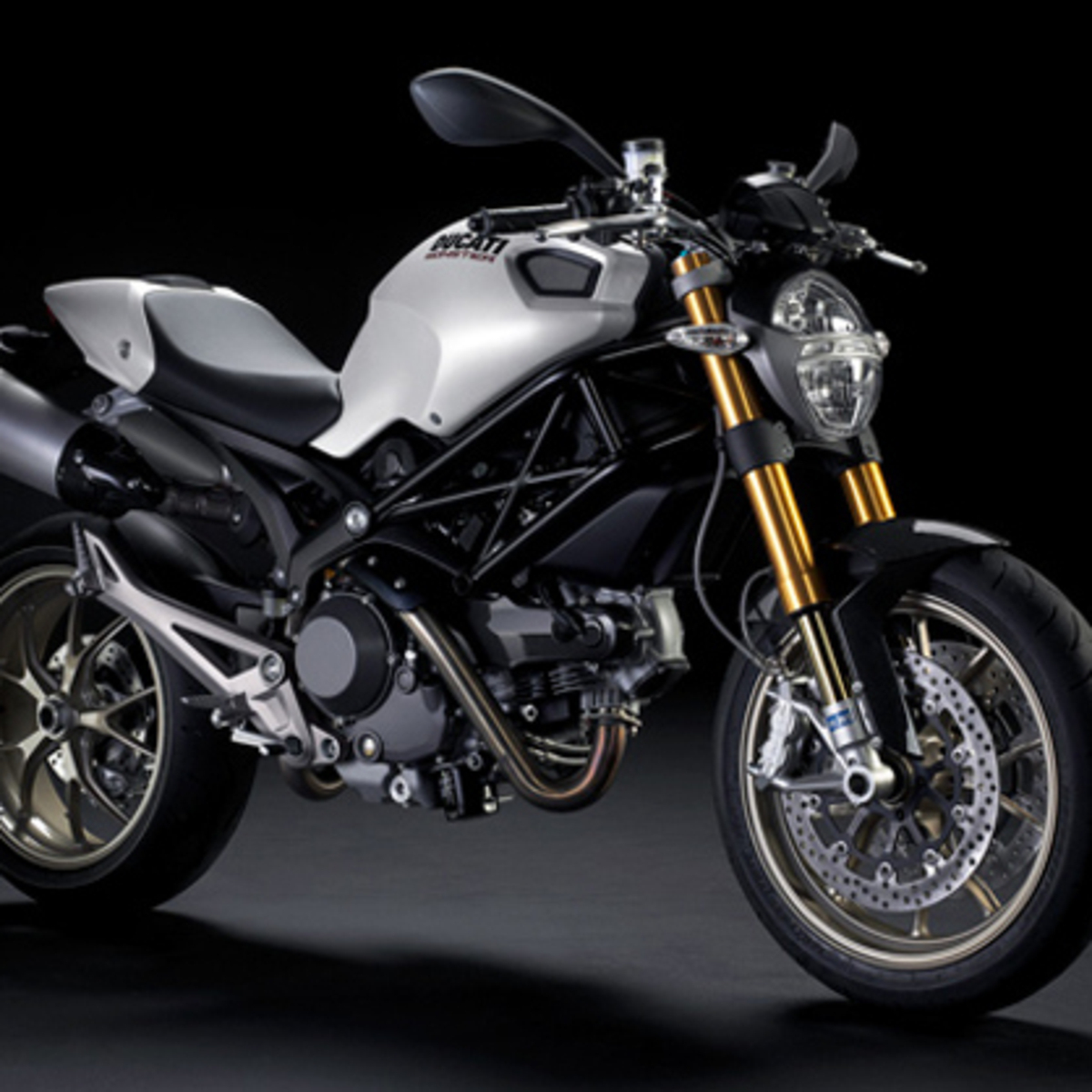 Ducati Monster 1100 S (2009-10)