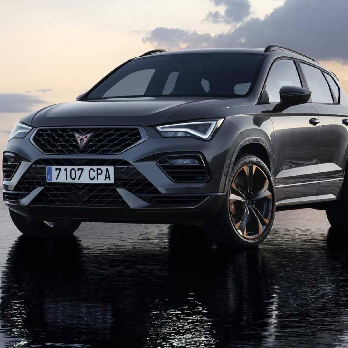 Cupra Ateca (2018--&gt;&gt;)