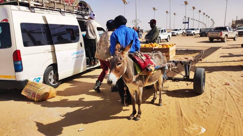 Africa Eco Race 22. D6. Benvenuti nel Paese delle Sabbie!