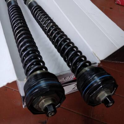 Andreani cartuccia pressurizzata Evs Yamaha filett Andreani Group