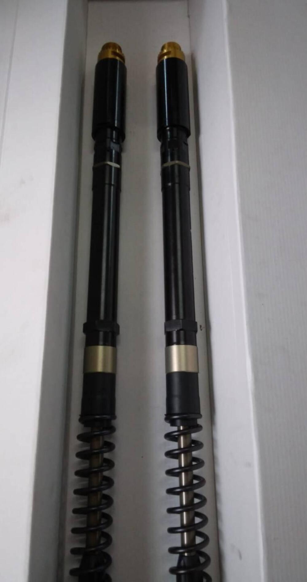 Andreani cartuccia pressurizzata Evs Yamaha filett Andreani Group (2)