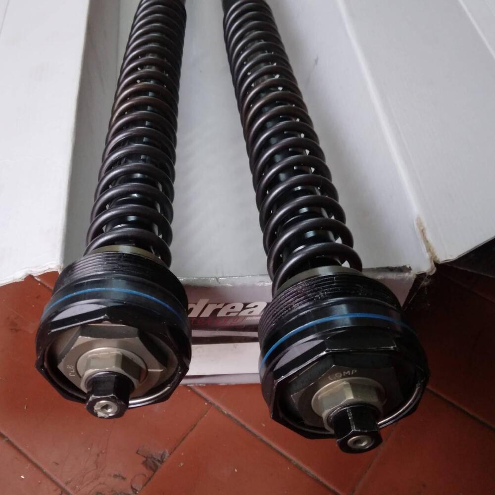 Andreani cartuccia pressurizzata Evs Yamaha filett Andreani Group (3)