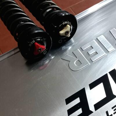 WP cartucce 4CS standard complete di tappi Wp Suspension