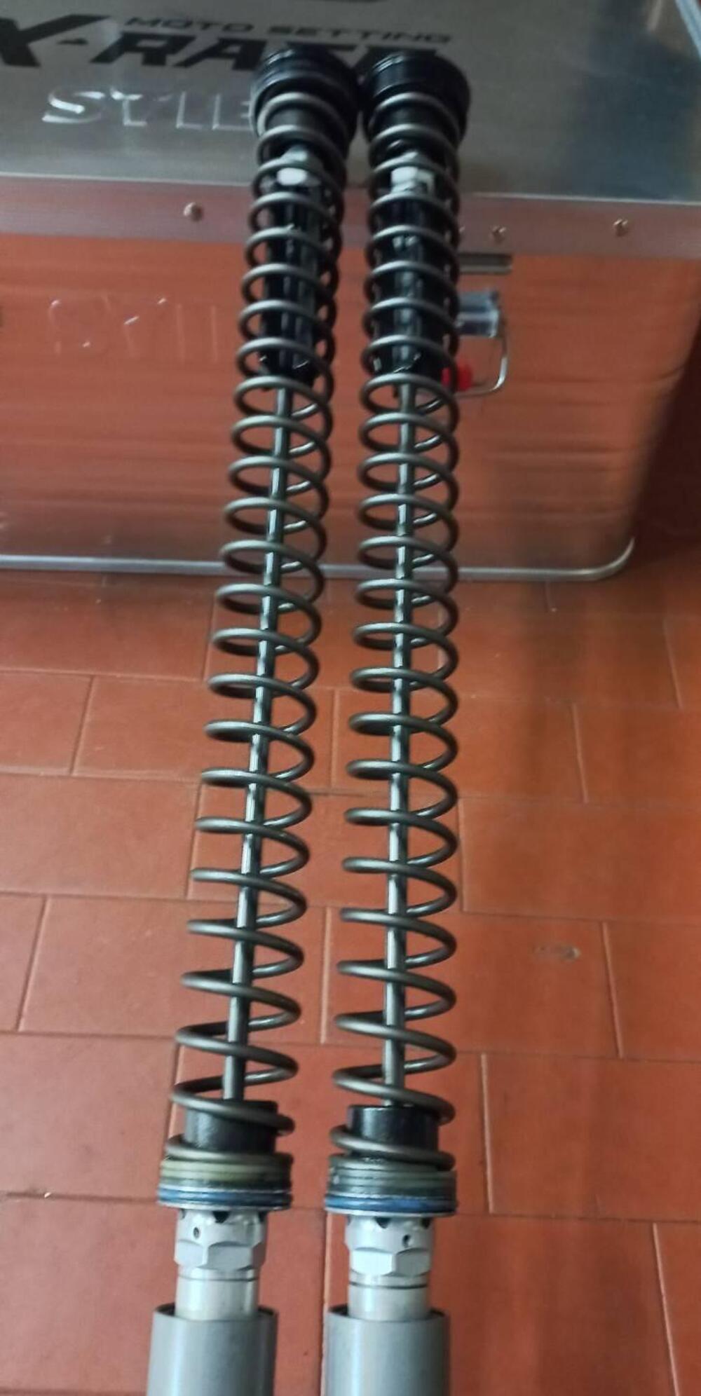 WP cartucce 4CS standard complete di tappi Wp Suspension (3)