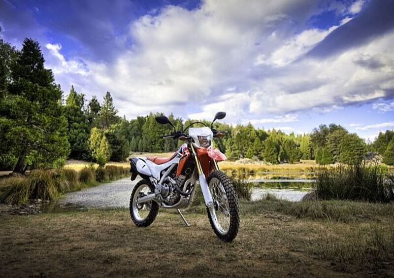 Honda CRF 250 L CRF 250 L (2012 - 13) (3)