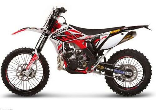 GASGAS EC 300 H 4T Racing (2012 - 13)