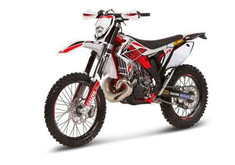 GASGAS EC 300 EC 300 H 4T Racing (2012 - 13) (3)