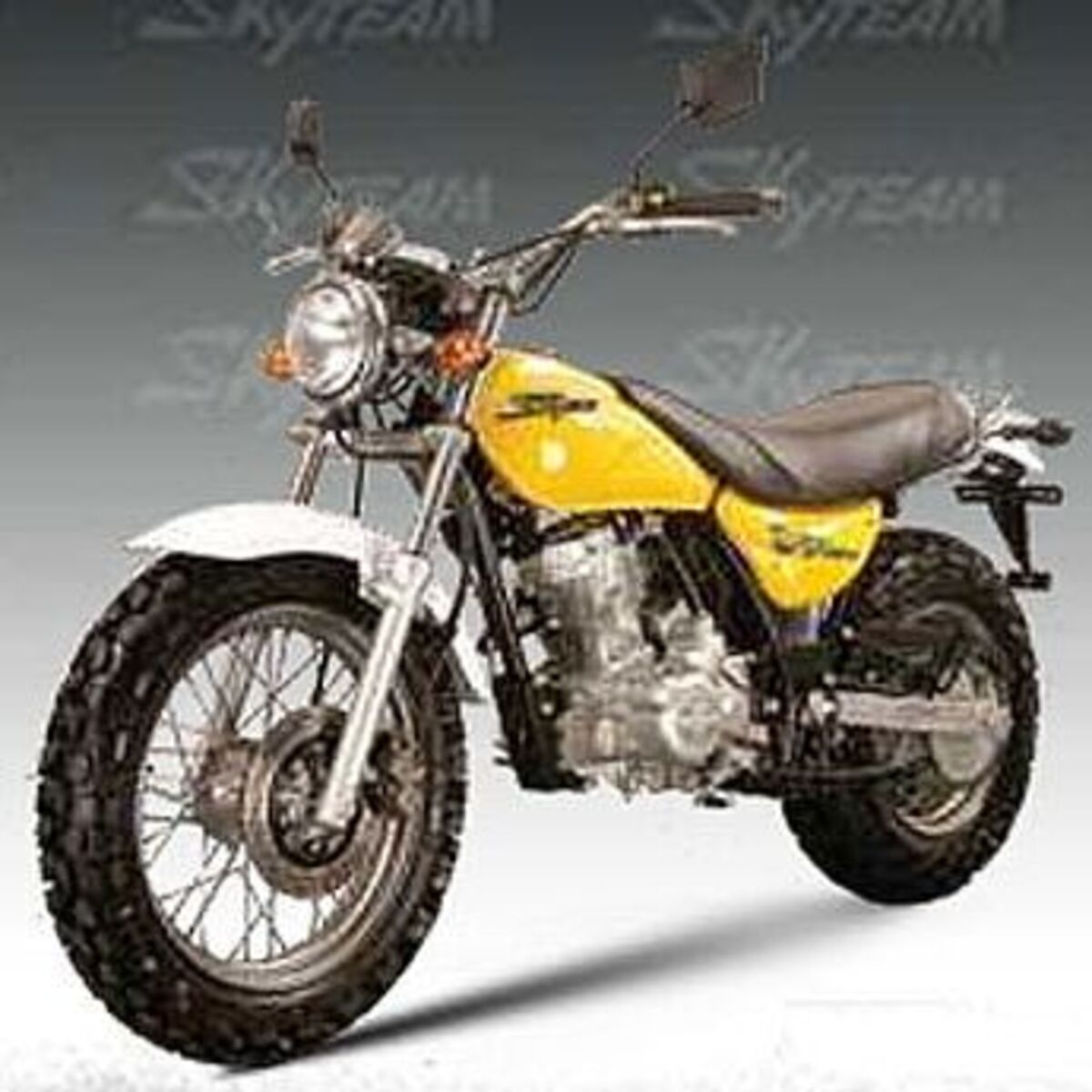 Sky Team V-Raptor 250-2