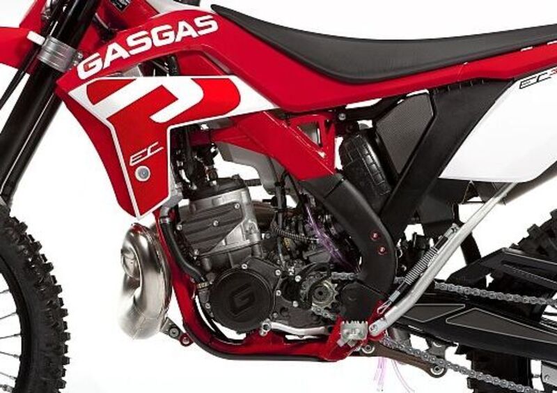 GASGAS EC 250 EC 250 H (2013 - 14) (8)