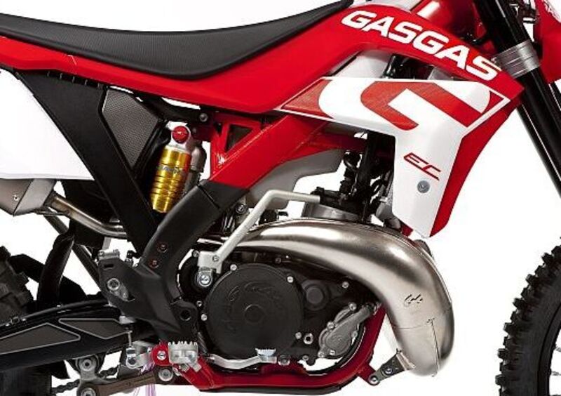 GASGAS EC 250 EC 250 H (2013 - 14) (9)