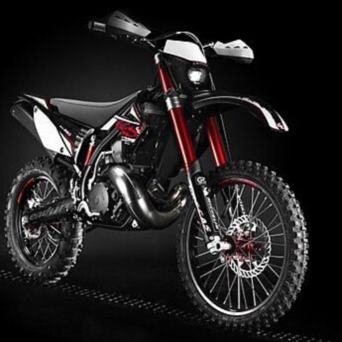 GASGAS EC 300 (2010)