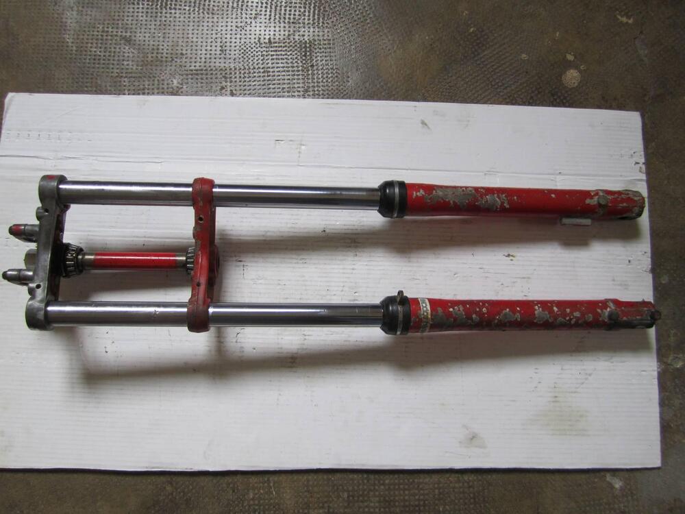 Cimatti KAIMAN  X21 (2)