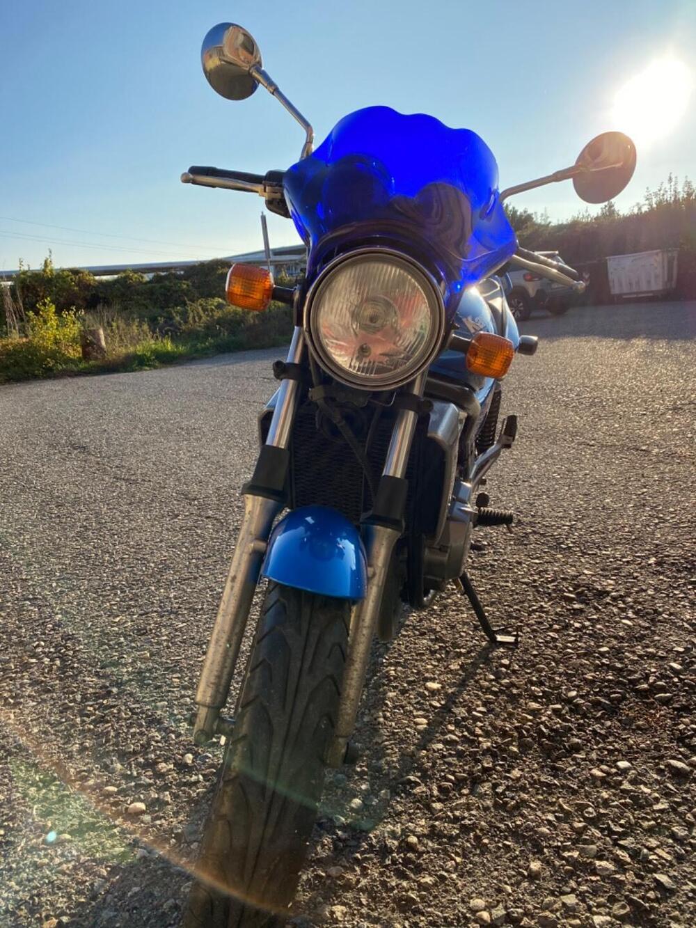 Kawasaki ER-5 500 (2001 - 06) (2)