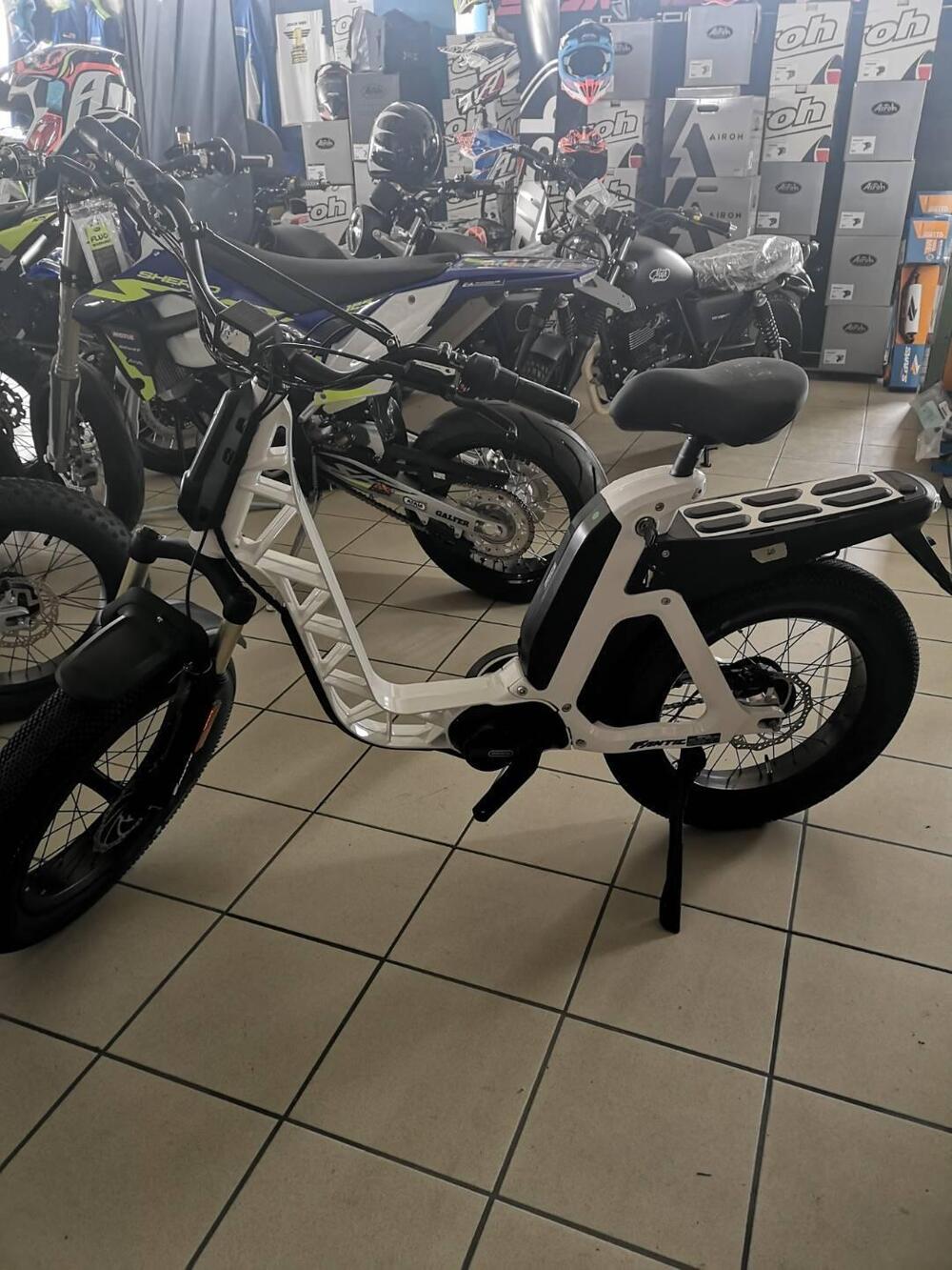 Fantic Motor Issimo 45 (2022 - 25) (6)