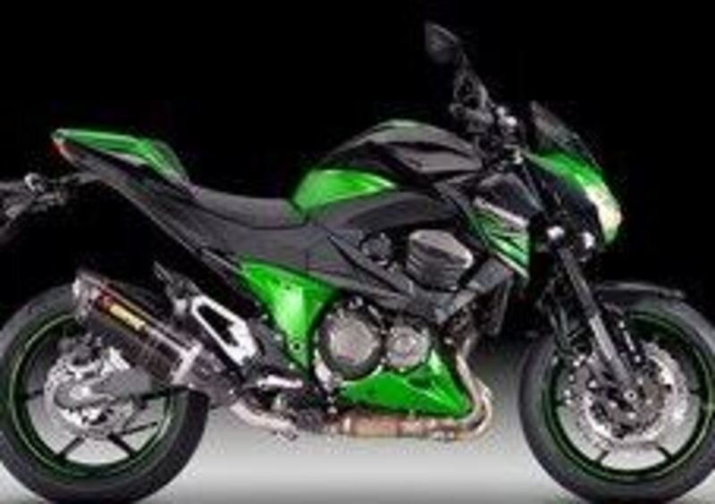 Kawasaki Z 800 Z 800 Performance (2013 - 13) (4)