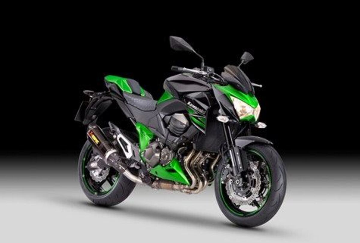 Kawasaki Z 800 Performance ABS (2013)