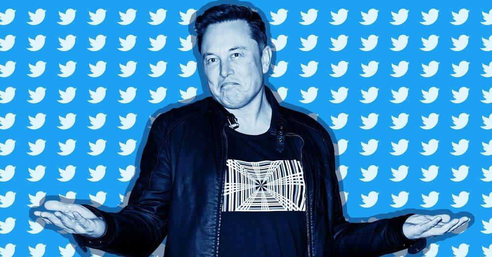 Ecco perch&eacute; con Elon Musk (e Trump?) Twitter non fallir&agrave;