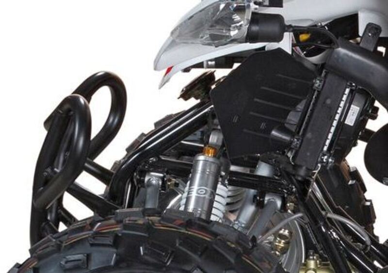 Aeon Cobra 400 Cobra 400 (2008 - 17) (6)