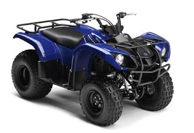 Yamaha Grizzly 125