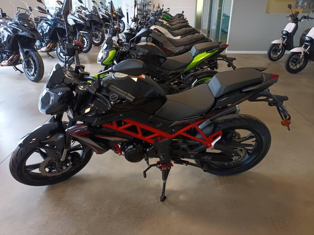 Benelli BN 125 (2021 - 25)