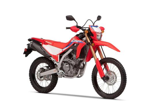 Honda CRF 300 L (2021 - 24)