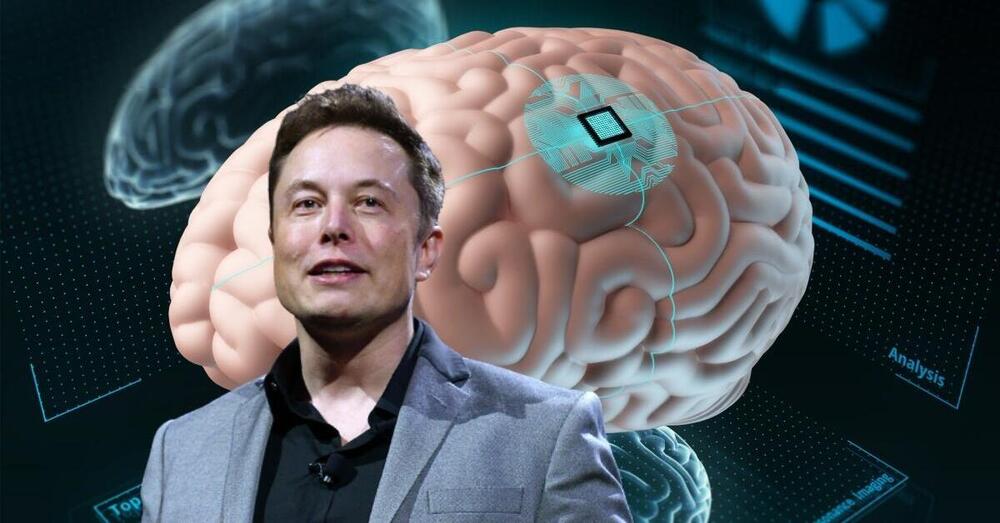 Musk vuole impiantare un chip negli esseri umani? Per il neuroscienziato Vallortigara sar&agrave; il nostro futuro