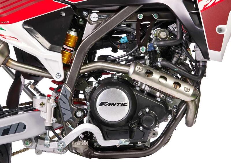 Fantic Motor XMF 125 XMF 125 Motard Competition 4T (2023 - 24) (18)