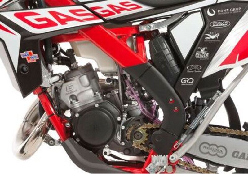 GASGAS EC 250 EC 250 H Racing AE (2015) (5)