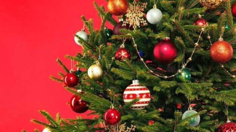 L&rsquo;albero di Natale trasportato in modo creativo [Video]