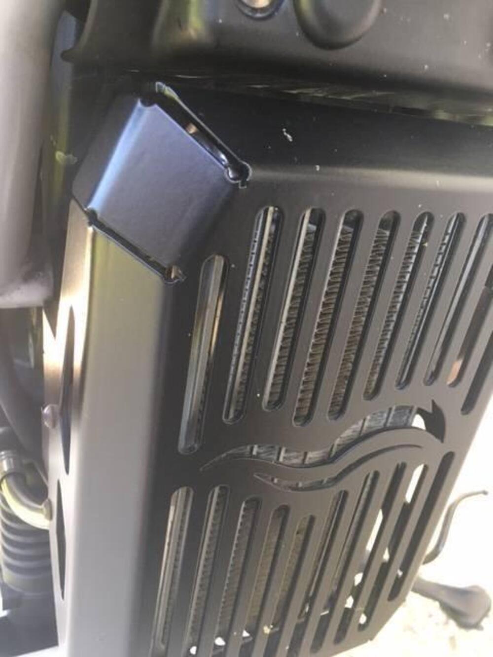 Moto Guzzi Griso 1200 8V (2007 - 12) (3)