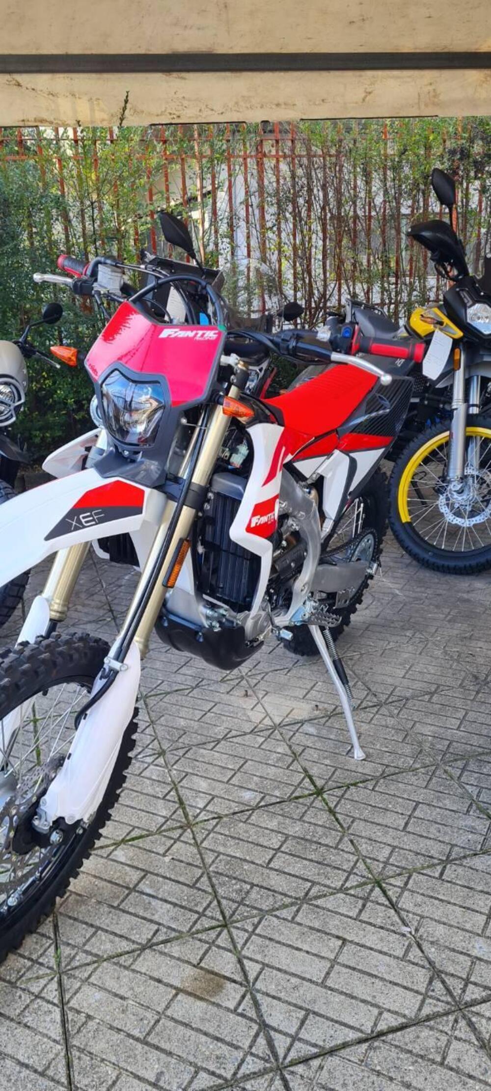 Fantic Motor XM 50 Competition (2023 - 24) (2)