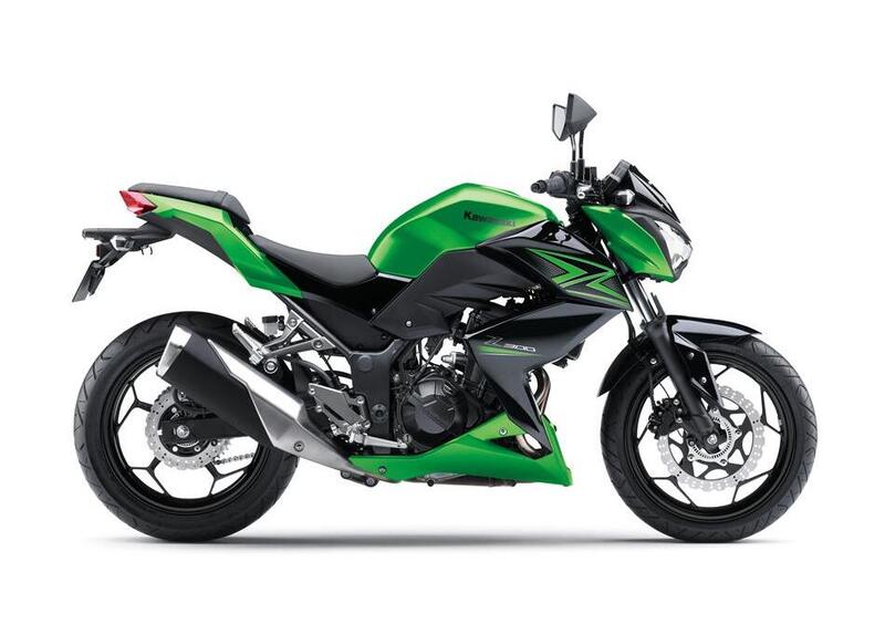 Kawasaki Z 300 Z 300 (2015) (3)