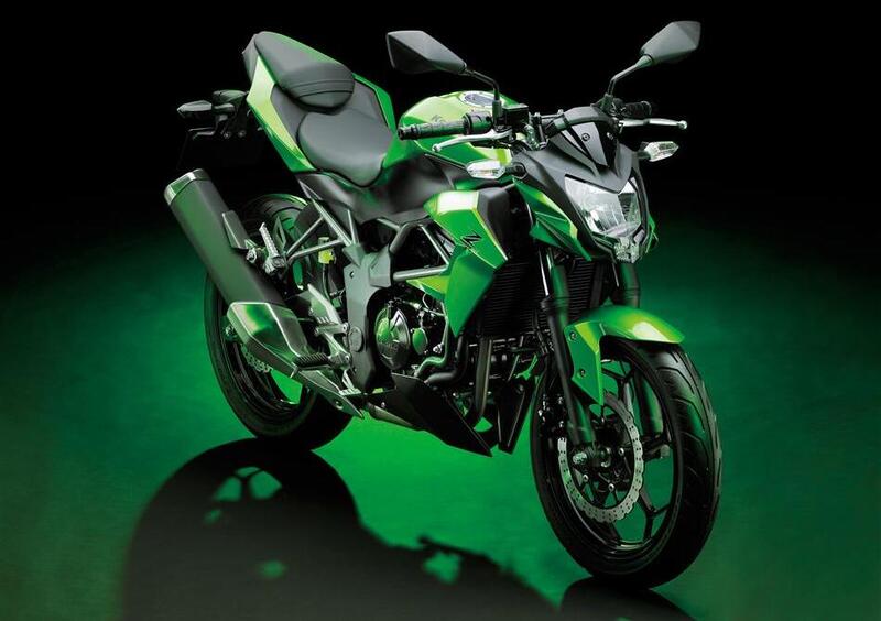 Kawasaki Z 250 SL Z 250 SL (2015 - 16) (7)