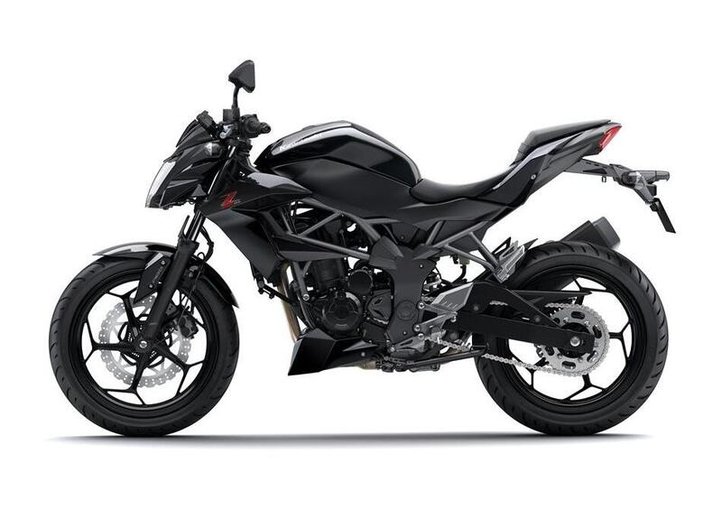 Kawasaki Z 250 SL Z 250 SL (2015 - 16) (2)