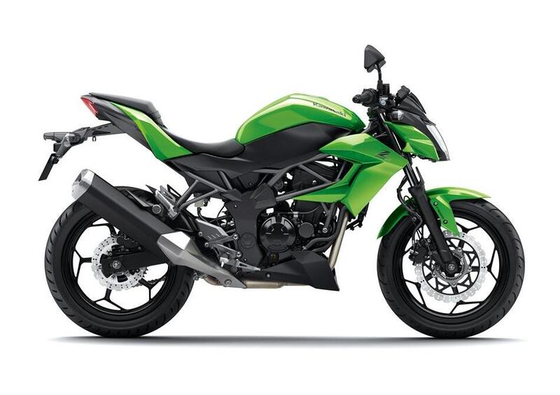 Kawasaki Z 250 SL Z 250 SL (2015 - 16) (6)