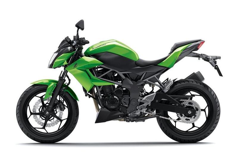 Kawasaki Z 250 SL Z 250 SL ABS (2015 - 16) (5)