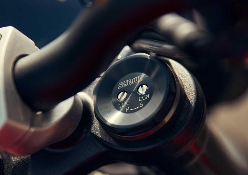 Triumph Street Triple Street Triple 765 RS (2023 - 25) (28)