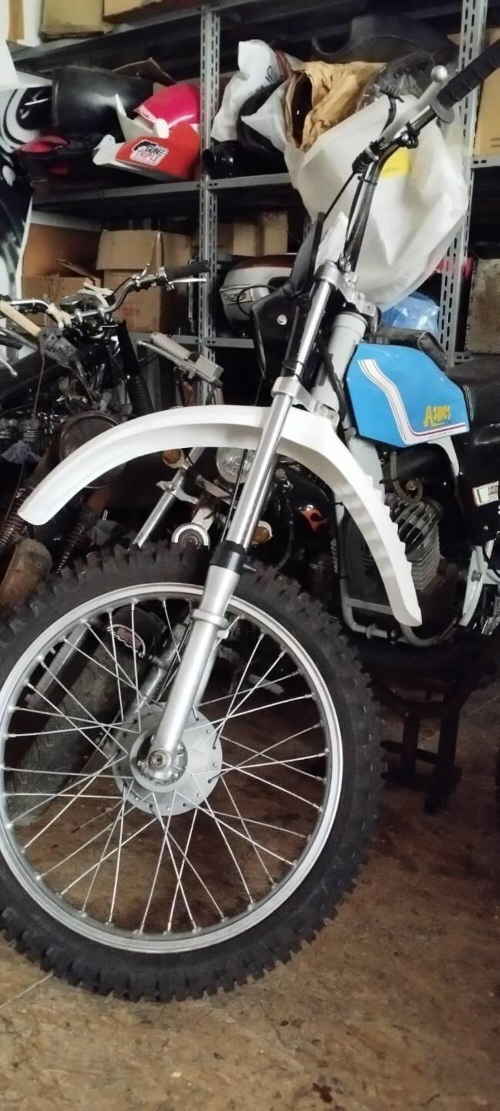 Aspes navaho rc 50 (4)