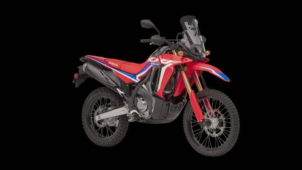 Honda CRF 300 Rally (2021 - 24)