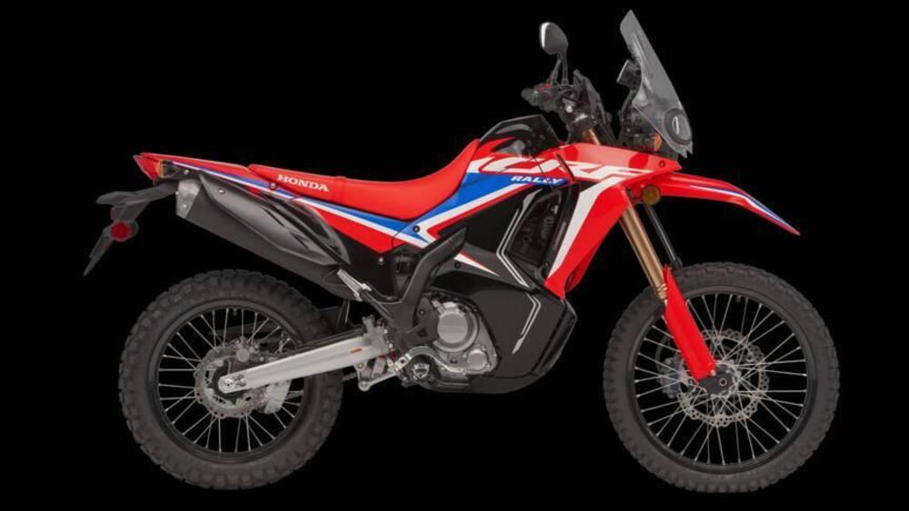 Honda CRF 300 Rally (2021 - 24) (2)
