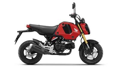 Honda MSX 125 Grom (2021 - 25) nuova