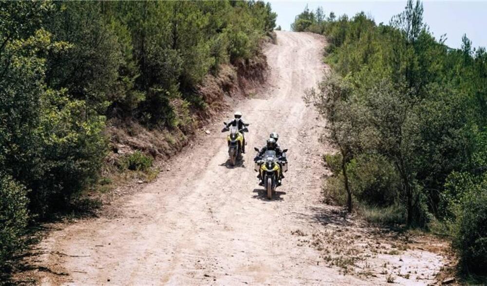 Suzuki V-Strom 800DE (2025 - 26) (8)