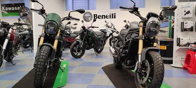 Benelli Leoncino 800 Trail (2022 - 25) nuova