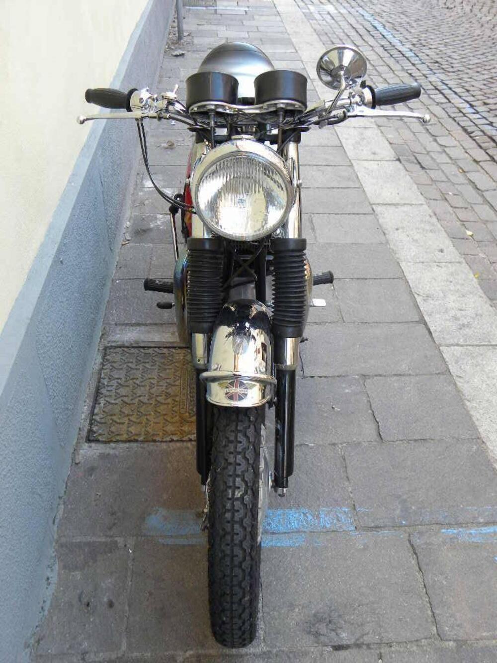 Bsa Spitfire 650 (18)