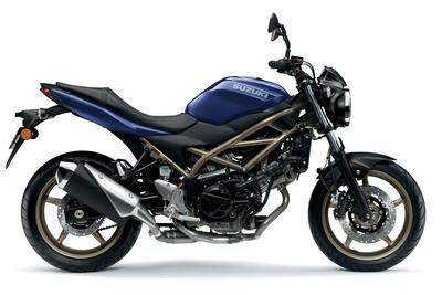 Suzuki SV650 (2021 - 24) nuova