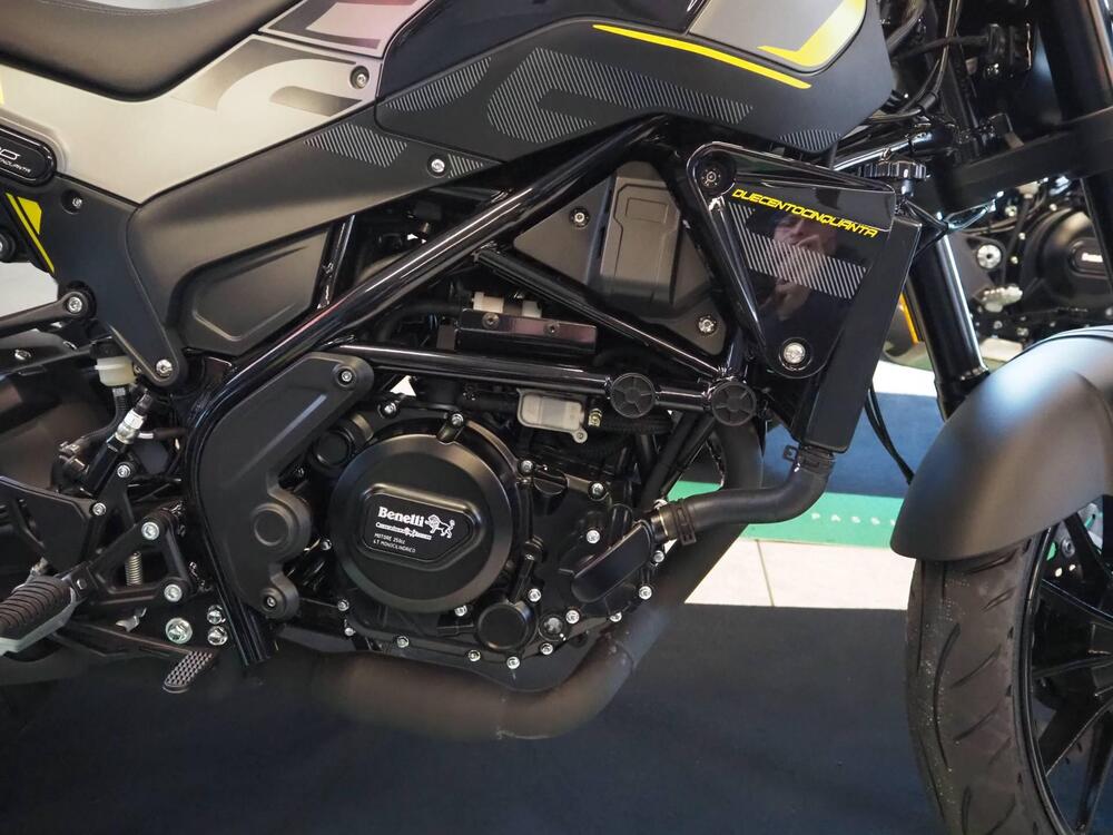 Benelli Leoncino 250 (2021 - 25) (4)