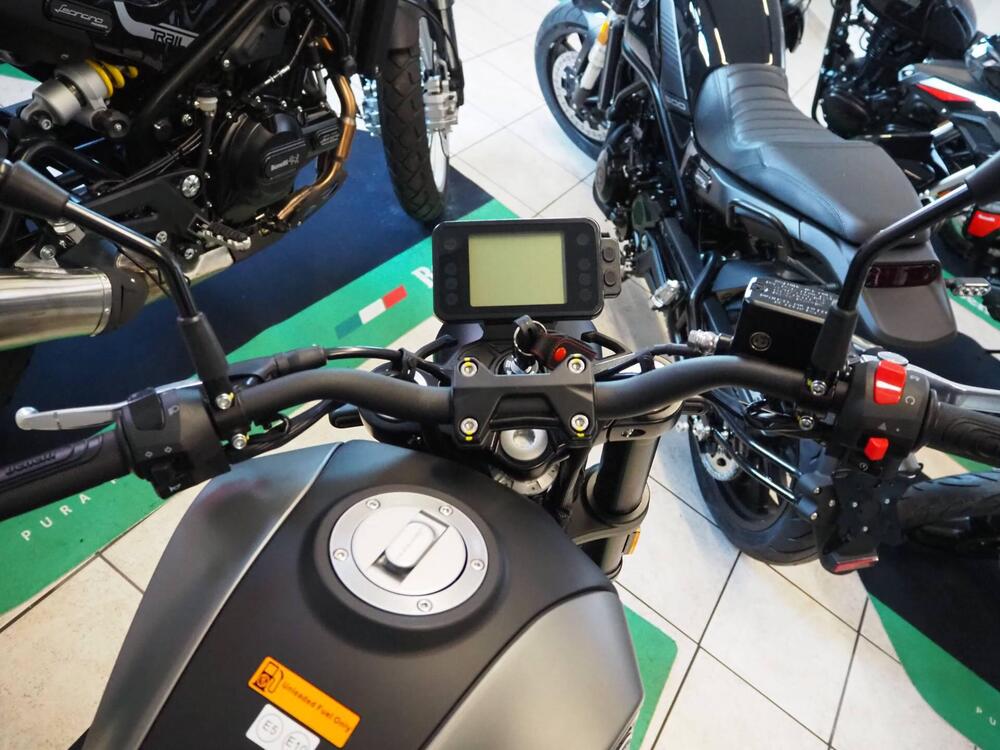 Benelli Leoncino 250 (2021 - 25) (5)